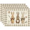 Artoid Mode Blue and White Porcelain Bunny Rabbit Easter Placemats Set of 4, 14 Inch Spring Round Table Mats for Party Kitchen Dining Decoration(Brown)