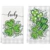 Artoid Mode Lucky Shamrock Eucalyptus St. Patrick’s Day Kitchen Towels Dish Towels, 18×26 Inch Seasonal Buffalo Plaid Decoration Hand Towels Set of 2