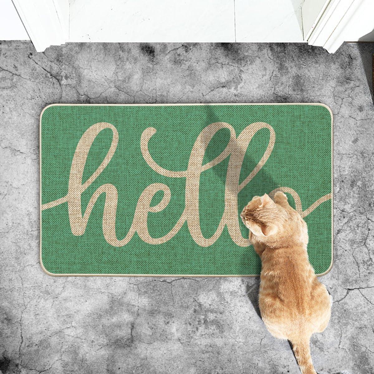 imageArtoid Mode Balck Hello Halloween Doormat Home Decor LowProfile Switch Rug Door Mat Floor Mat for Indoor Outdoor 17x29 InchAqua