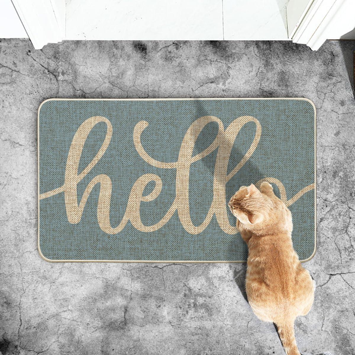 imageArtoid Mode Balck Hello Halloween Doormat Home Decor LowProfile Switch Rug Door Mat Floor Mat for Indoor Outdoor 17x29 InchBlue