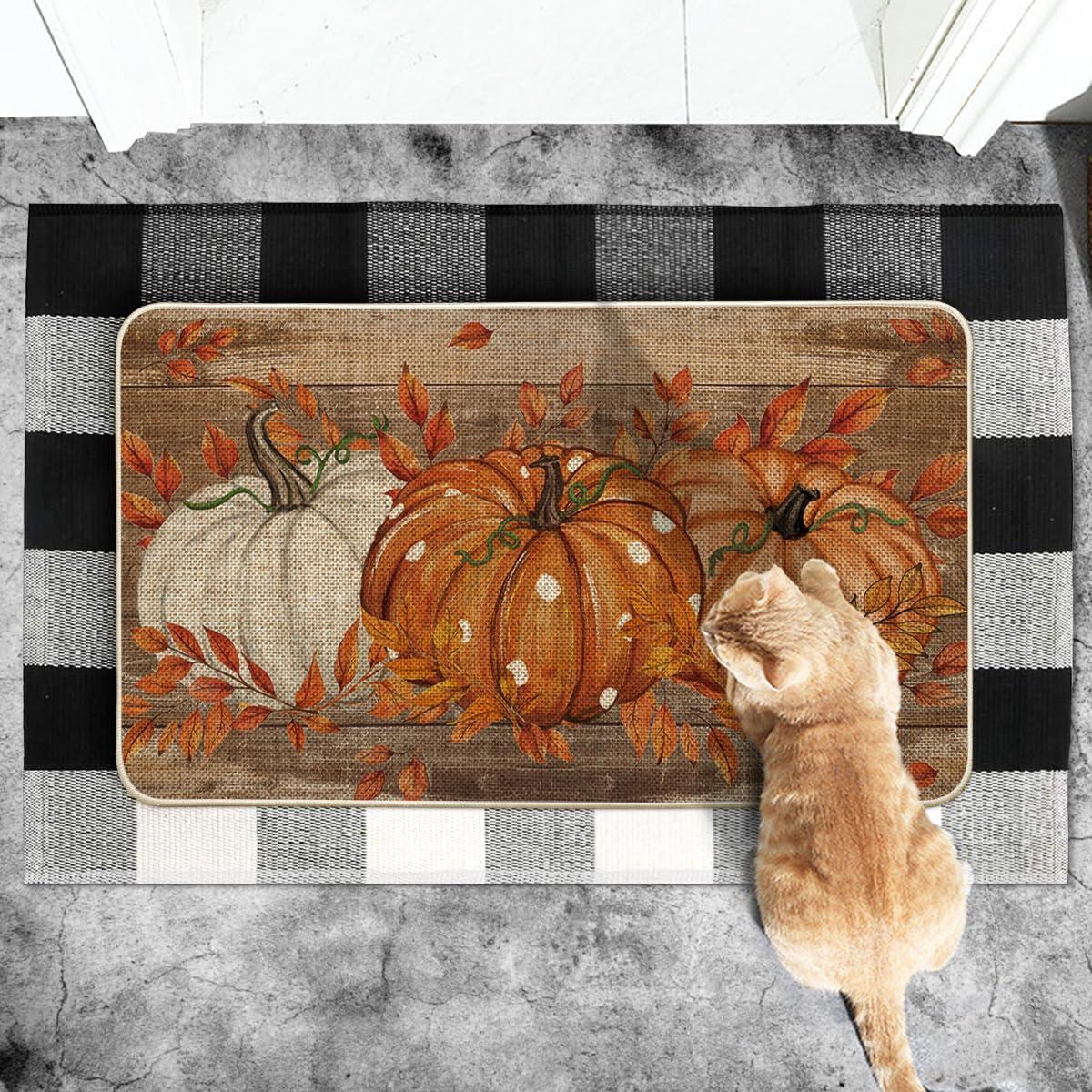 imageArtoid Mode Blue Dot Pumpkin Eucalyptus Fall Doormat Autumn Home Decor LowProfile Switch Rug Door Mat Floor Mat for Indoor Outdoor 17x29 InchBrown