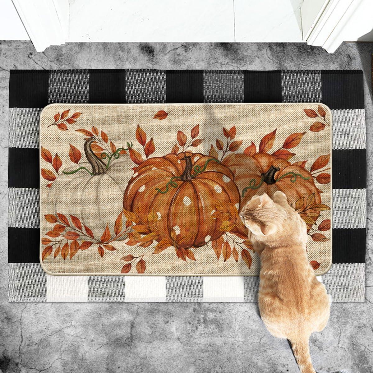 imageArtoid Mode Blue Dot Pumpkin Eucalyptus Fall Doormat Autumn Home Decor LowProfile Switch Rug Door Mat Floor Mat for Indoor Outdoor 17x29 InchOrange