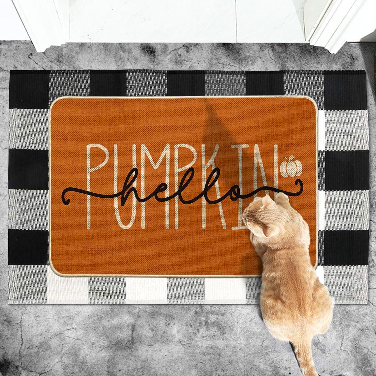 imageArtoid Mode Blue Hello Pumpkin Fall Doormat Home Decor LowProfile Switch Rug Door Mat Floor Mat for Indoor Outdoor 17x29 InchOrange