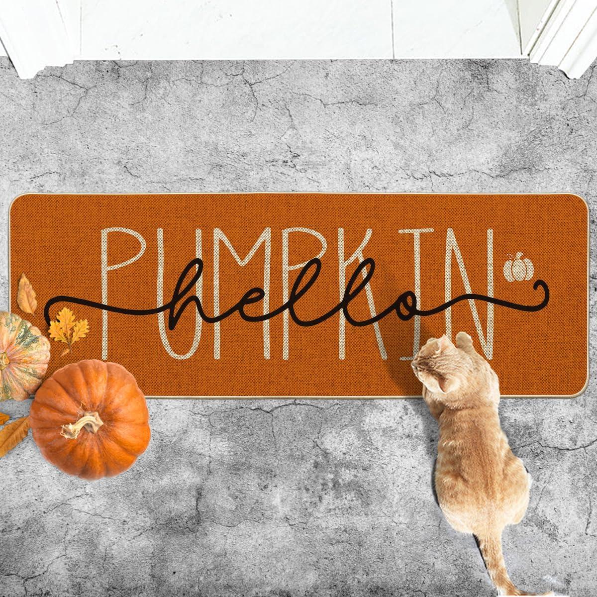 imageArtoid Mode Blue Hello Pumpkin Fall Doormat Home Decor LowProfile Switch Rug Door Mat Floor Mat for Indoor Outdoor 17x29 InchOrange