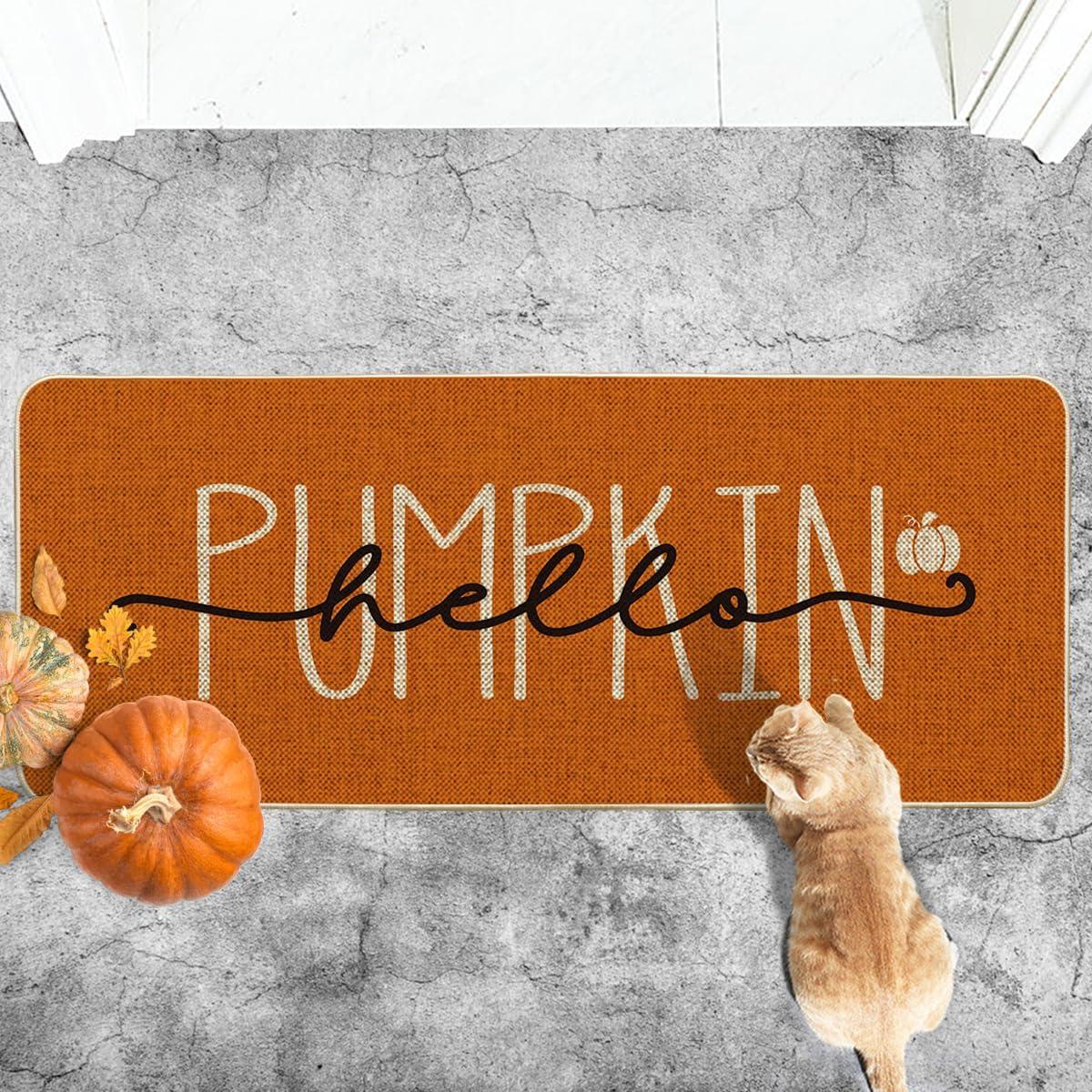 imageArtoid Mode Blue Hello Pumpkin Fall Doormat Home Decor LowProfile Switch Rug Door Mat Floor Mat for Indoor Outdoor 17x29 InchOrange