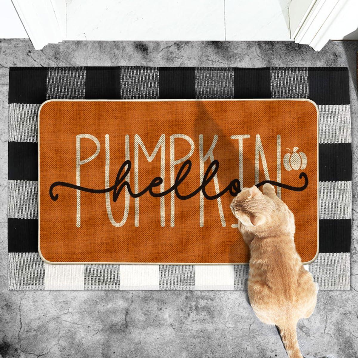 imageArtoid Mode Blue Hello Pumpkin Fall Doormat Home Decor LowProfile Switch Rug Door Mat Floor Mat for Indoor Outdoor 17x29 InchOrange