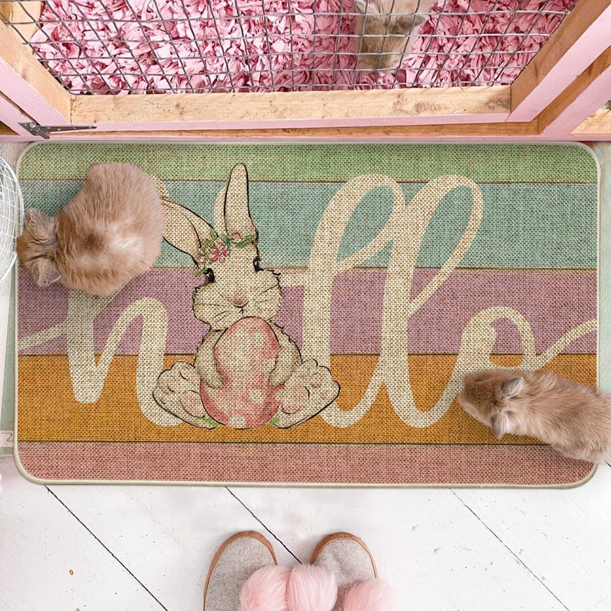 imageArtoid Mode Bunny Rabbit Pink Egg Hello Stripe Easter Doormat Home Decor LowProfile Switch Rug Door Mat Floor Mat for Indoor Outdoor 17x29 Inch