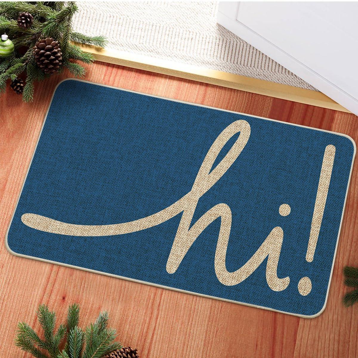 imageArtoid Mode Red Hi Valentines Day Doormat Daily Home Decor LowProfile Switch Rug Welcome Door Mat Floor Mat for Indoor Outdoor 17x29 InchBlue