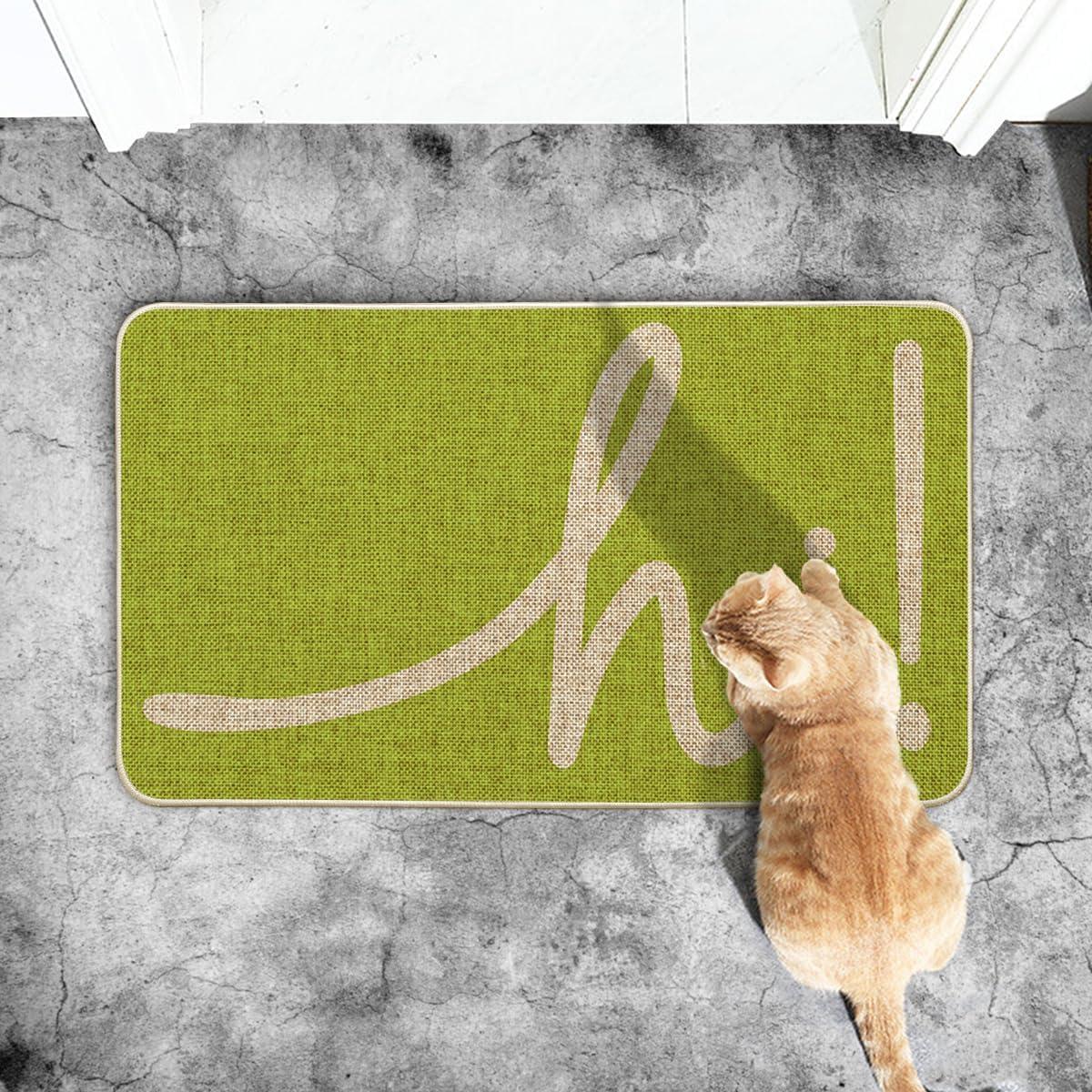 imageArtoid Mode Red Hi Valentines Day Doormat Daily Home Decor LowProfile Switch Rug Welcome Door Mat Floor Mat for Indoor Outdoor 17x29 InchGreen