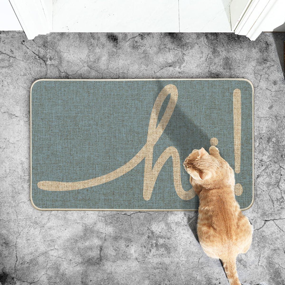 imageArtoid Mode Red Hi Valentines Day Doormat Daily Home Decor LowProfile Switch Rug Welcome Door Mat Floor Mat for Indoor Outdoor 17x29 InchSky Blue