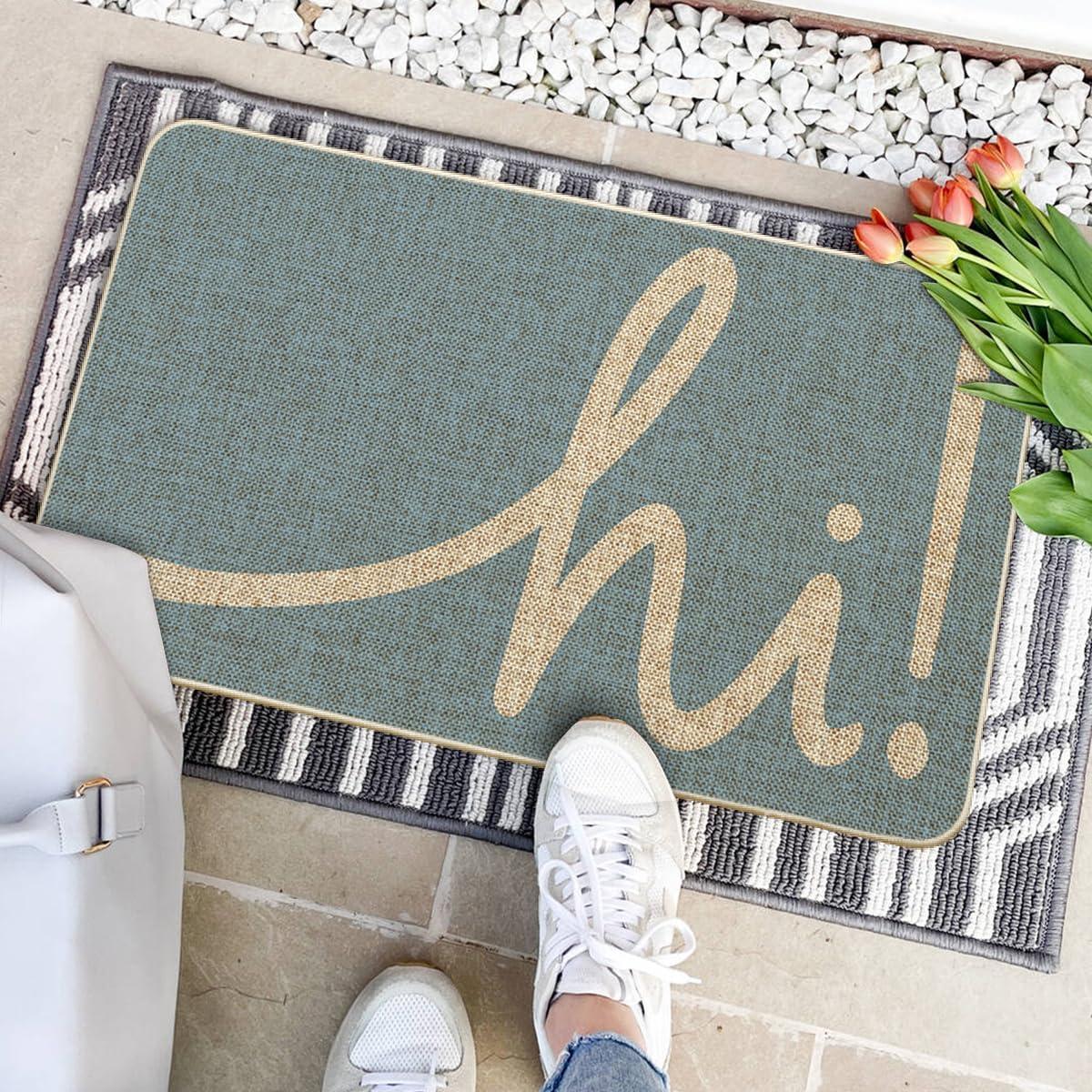 imageArtoid Mode Red Hi Valentines Day Doormat Daily Home Decor LowProfile Switch Rug Welcome Door Mat Floor Mat for Indoor Outdoor 17x29 InchSky Blue