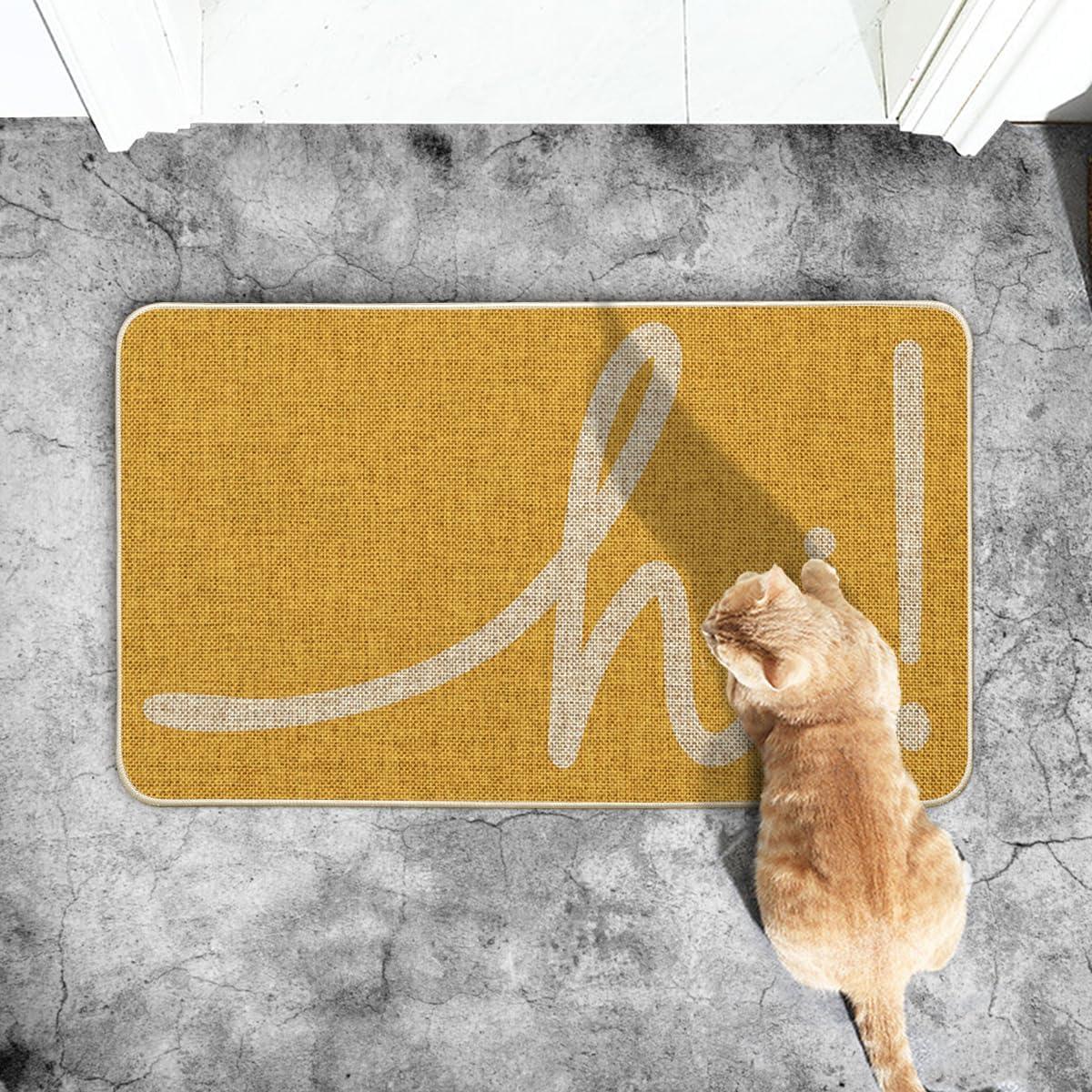 imageArtoid Mode Red Hi Valentines Day Doormat Daily Home Decor LowProfile Switch Rug Welcome Door Mat Floor Mat for Indoor Outdoor 17x29 InchYellow