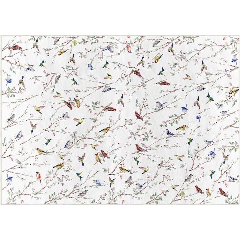 imageArtoid Mode Twigs Bird Spring Area Rug Summer Retro Home Decor LowProfile Area Rugs for Entryway Bedroom Living Room Laundry Room Indoor 5x7 FeetWhite