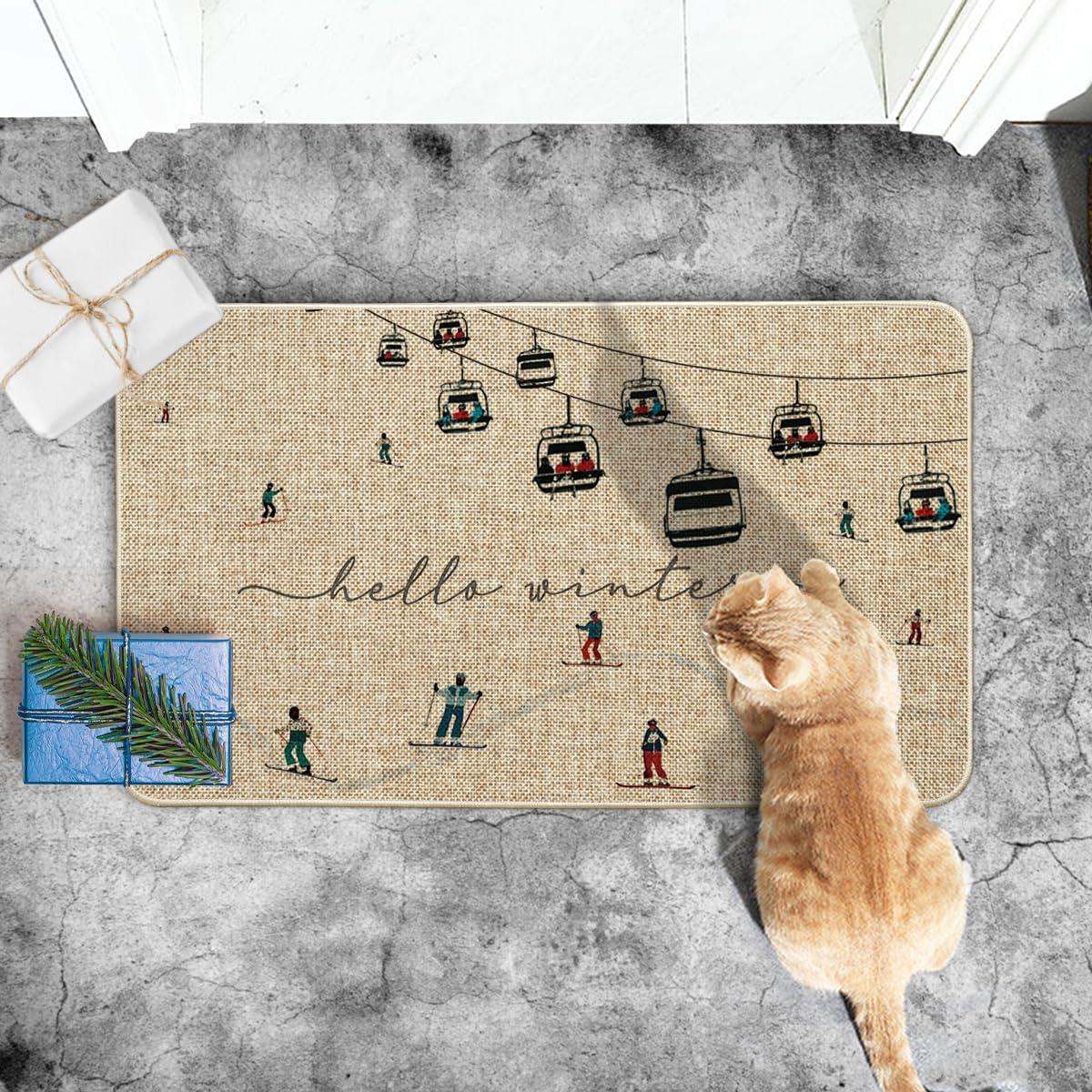 imageArtoid Mode Ski Lifts Snowboards Hello Winter Doormat Christmas LowProfile Switch Rug Home Decor Door Mat Floor Mat for Outdoor Indoor 17x29 Inch