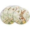Artoid Mode Bunny Rabbit Butterfly Eggs Flowers Round Easter Placemats Set of 4, 14 Inch Spring Round Table Mats for Dining Decoration(Beige)