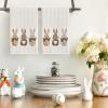 Artoid Mode Wood Stripe Rabbit Bunny Easter Kitchen Towels Dish Towels, 18×26 Inch Seasonal Spring Decoration Cleaning Set of 2(Wood/Beige)
