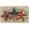 Artoid Mode America Stars Eucalyptus Patriotic 4th of July Doormat, Memorial Day Home Decor Switch Rug Door Mat Floor Mat 17×29 Inch