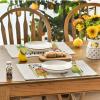 Artoid Mode Watermelon Popsicles Sunshine Summer Round Placemats Set of 4, 14 Inch Round Table Mats for Dining Decoration(Beige)