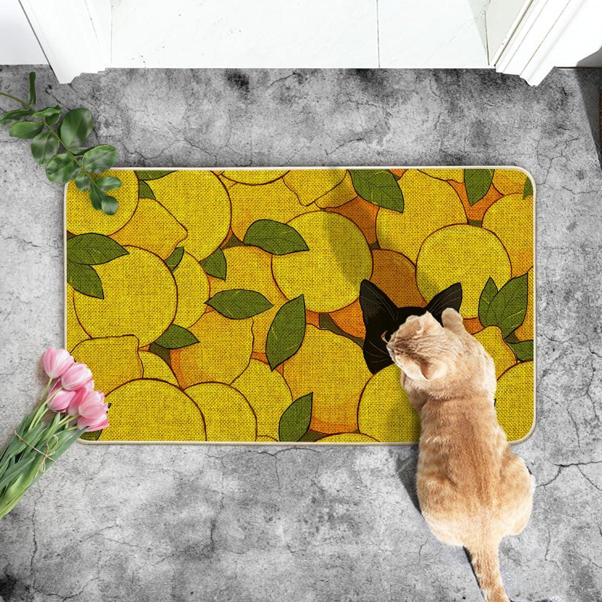 image:imageArtoid Mode Lemons Cat Summer Doormat Home Decor LowProfile Switch Rug Door Mat Floor Mat for Indoor Outdoor 17x29 Inch