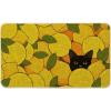Artoid Mode Lemons Cat Summer Doormat, Home Decor Low-Profile Switch Rug Door Mat Floor Mat for Indoor Outdoor 17×29 Inch