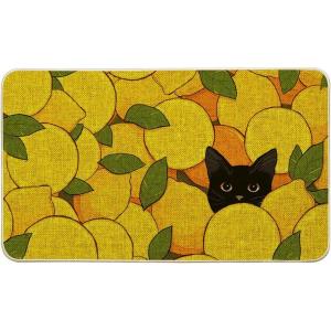 Artoid Mode Lemons Cat Summer Doormat, Home Decor Low-Profile Switch Rug Door Mat Floor Mat for Indoor Outdoor 17×29 Inch