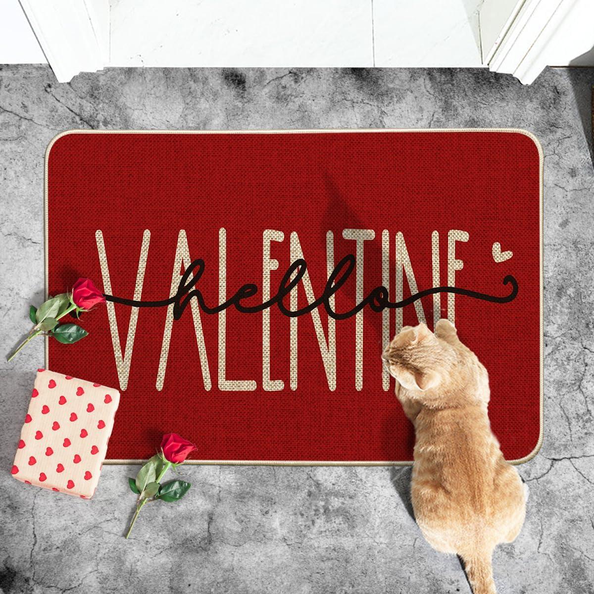 image:imageArtoid Mode Hello Valentine Pink Valentines Doormat Anniversary Wedding Home Decor LowProfile Rug Switch Mat for Indoor Outdoor 17x29 InchRed