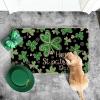 Artoid Mode Black Shamrock Happy St. Patrick’s Day Doormat, Home Decor Low-Profile Switch Rug Door Mat Floor Mat for Indoor Outdoor 17×29 Inch