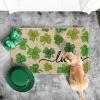 Artoid Mode Lucky Clovers St. Patrick’s Day Doormat, Home Decor Low-Profile Switch Rug Door Mat Floor Mat for Indoor Outdoor 17×29 Inch(Light Green)