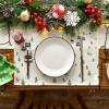 Artoid Mode Cable Car Ski Winter Placemats Set of 4, 12×18 Inch Seasonal Holiday Christmas Place Mats for Party Dining Table