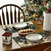 Artoid Mode Christmas Lights Cat Placemats Set of 4, 12×18 Inch Seasonal Winter Holiday Place Mats for Party Dining Table