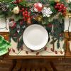 Artoid Mode Christmas Lights Cat Placemats Set of 4, 12×18 Inch Seasonal Winter Holiday Place Mats for Party Dining Table