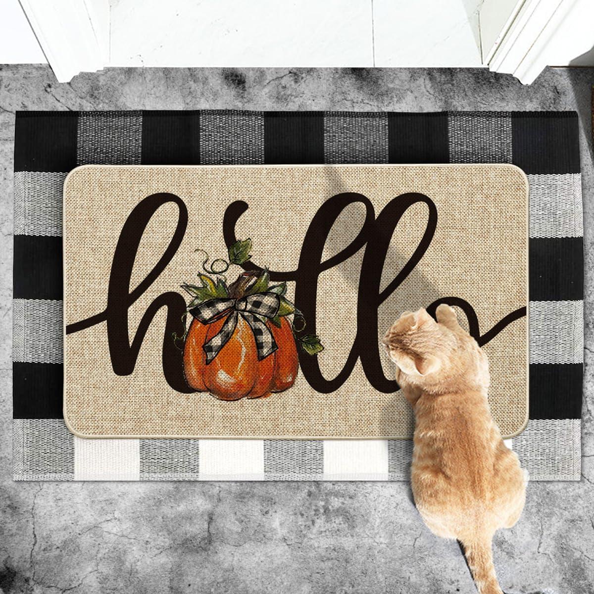 image:imageArtoid Mode Hello Pumpkin Fall Doormat Autumn Home Decor LowProfile Switch Rug Door Mat Floor Mat for Indoor Outdoor 17x29 InchBeige