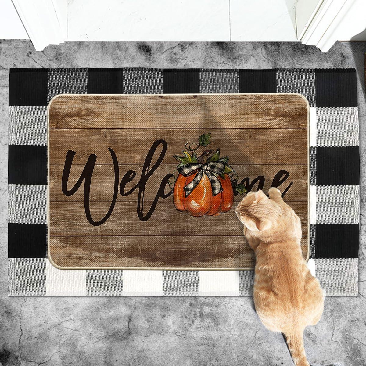 image:imageArtoid Mode Orange Pumpkin Fall Welcome Doormat Autumn Home Decor LowProfile Switch Rug Door Mat Floor Mat for Indoor Outdoor 17x29 InchBrown