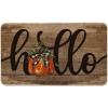 Artoid Mode Hello Pumpkin Fall Doormat, Autumn Home Decor Low-Profile Switch Rug Door Mat Floor Mat for Indoor Outdoor 17×29 Inch(Brown)