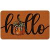 Artoid Mode Hello Pumpkin Fall Doormat, Autumn Home Decor Low-Profile Switch Rug Door Mat Floor Mat for Indoor Outdoor 17×29 Inch(Orange)