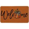 Artoid Mode Orange Pumpkin Fall Welcome Doormat, Autumn Home Decor Low-Profile Switch Rug Door Mat Floor Mat for Indoor Outdoor 17×29 Inch(Orange)