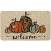 Artoid Mode Pumpkin Welcome Decorative Doormat, Fall Thanksgiving Rustic Yard Floor Mat Switch Mat for Indoor Outdoor 17 x 29 Inch