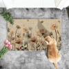 Artoid Mode Poppy Floral Leaves Spring Doormat, Home Summer Decor Low-Profile Switch Rug Door Mat Floor Mat for Indoor Outdoor 17×29 Inch(Beige)
