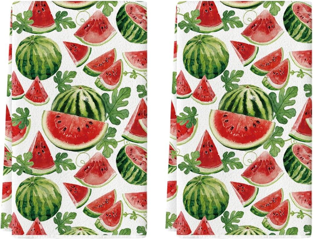 image:imageArtoid Mode Kiwi Fruits Summer Kitchen Towels Dish Towels 18x26 Inch Farmhouse Decoration Cleaning Set of 2BeigeRed