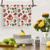 Artoid Mode Kiwi Fruits Summer Kitchen Towels Dish Towels, 18×26 Inch Farmhouse Decoration Cleaning Set of 2(Beige/Red)