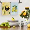 Artoid Mode Lemons Leaves Black Cat Hello Summer Kitchen Towels Dish Towels, 18×26 Inch Farmhouse Spring Decoration Cleaning Set of 4
