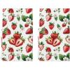 Artoid Mode Kiwi Fruits Summer Kitchen Towels Dish Towels, 18×26 Inch Farmhouse Decoration Cleaning Set of 2(Beige/Red)